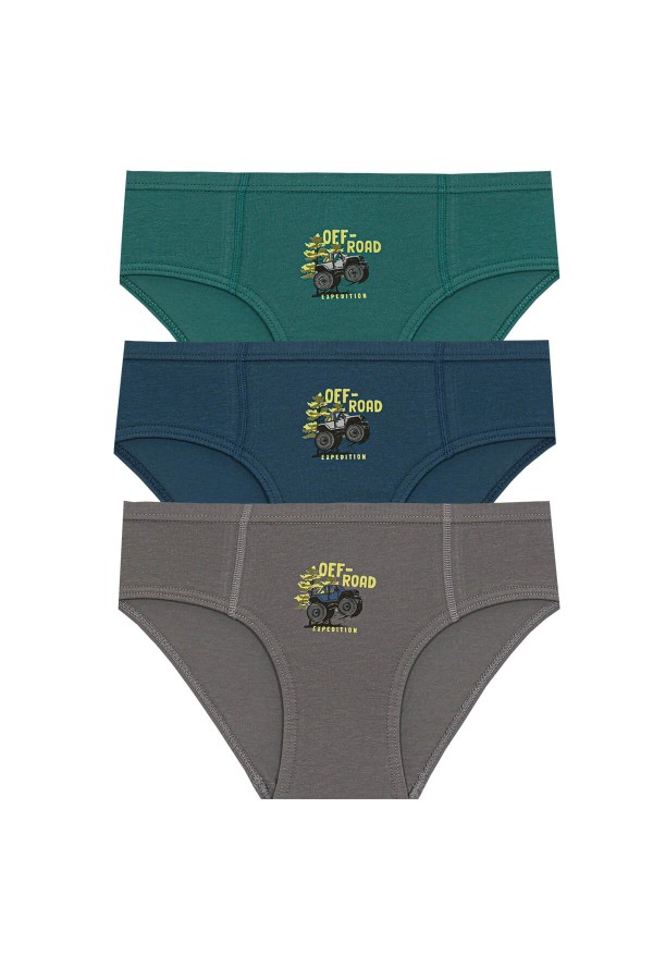 Berrak - Berrak 1579 Erkek Çocuk 3'lü Slip