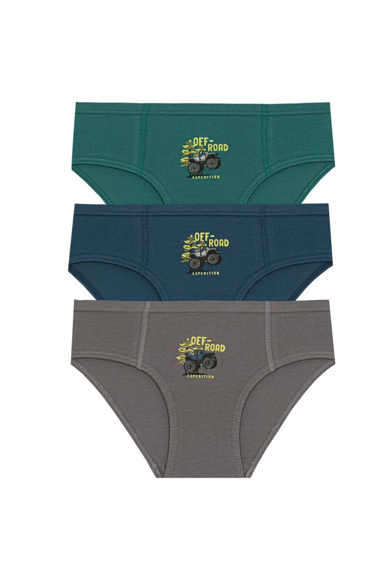 Berrak - Berrak 1579 Erkek Çocuk 3'lü Slip