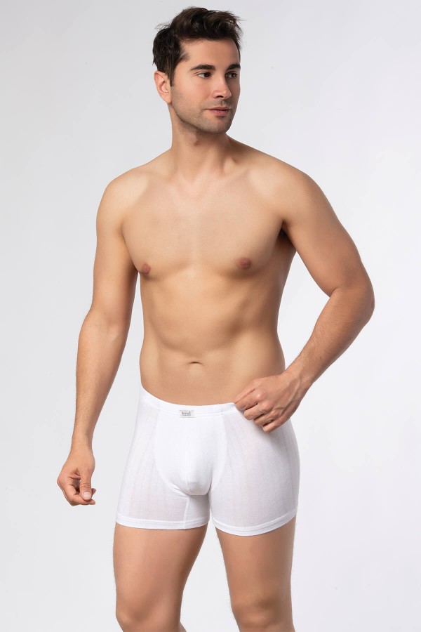 Berrak 4432 Erkek Bamboo Boxer - Thumbnail