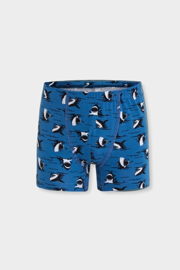 Berrak 5070 Erkek Çocuk 3'lü Boxer - Thumbnail