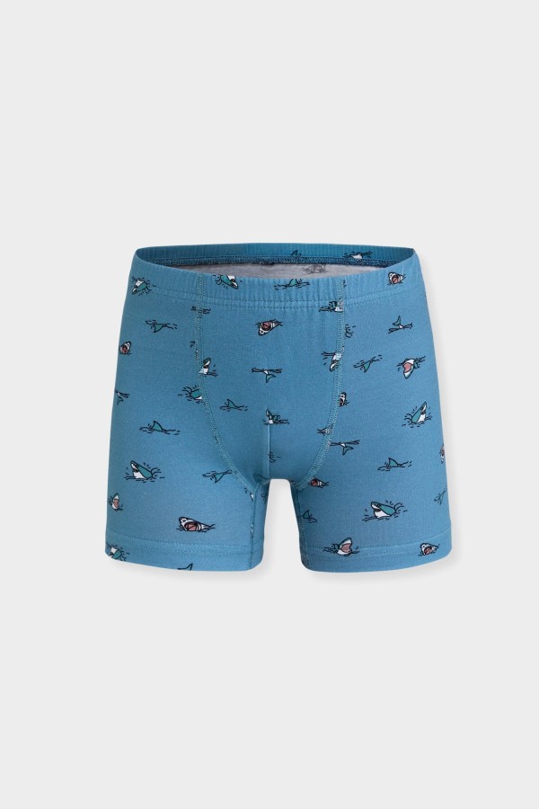 Berrak 5070 Erkek Çocuk 3'lü Boxer - Thumbnail