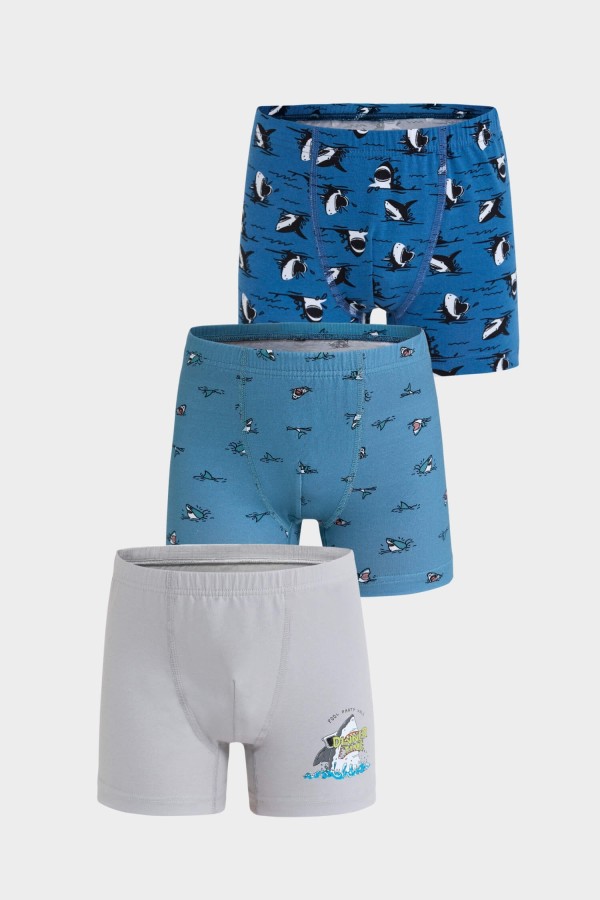 Berrak - Berrak 5070 Erkek Çocuk 3'lü Boxer