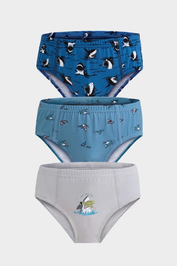 Berrak - Berrak 5071 Erkek Çocuk 3'lü Slip