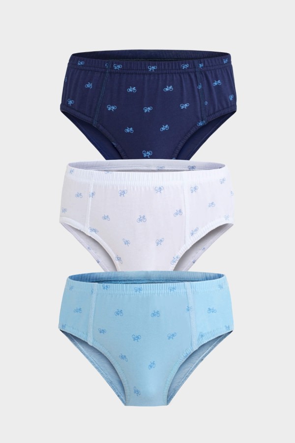 Berrak - Berrak 5079 Erkek Çocuk 3'lü Slip