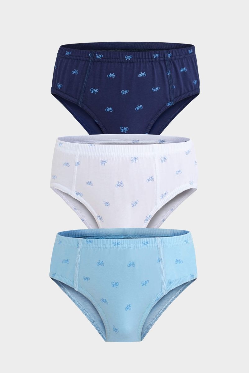 Berrak - Berrak 5079 Erkek Çocuk 3'lü Slip