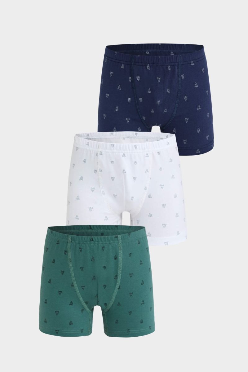 Berrak - Berrak 5081 Erkek Çocuk 3'lü Boxer