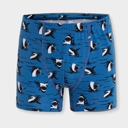 Boxer