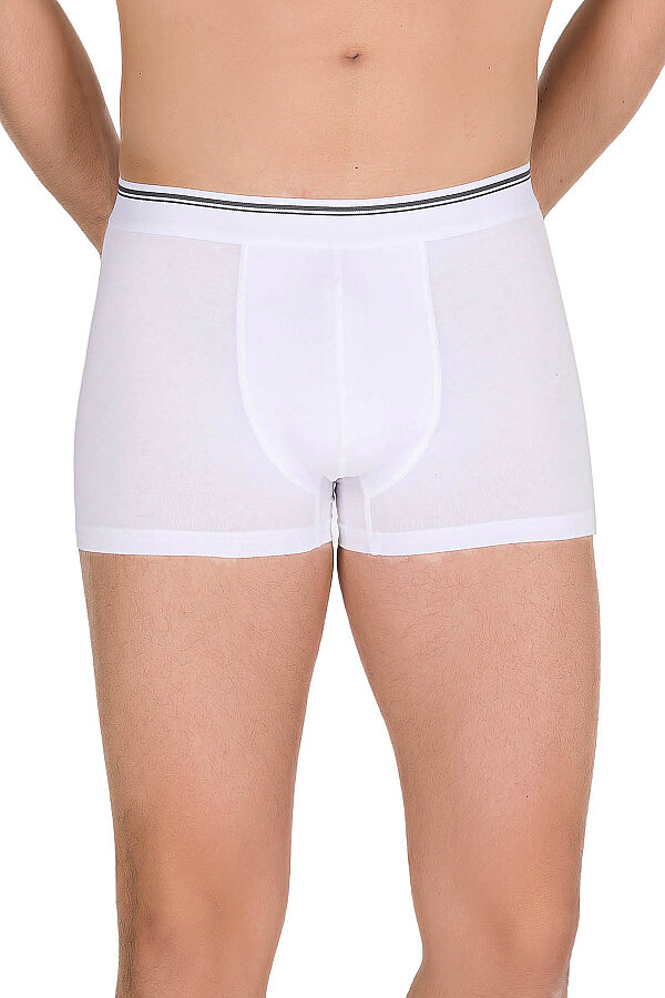 Berrak 1097 Erkek Boxer - Thumbnail