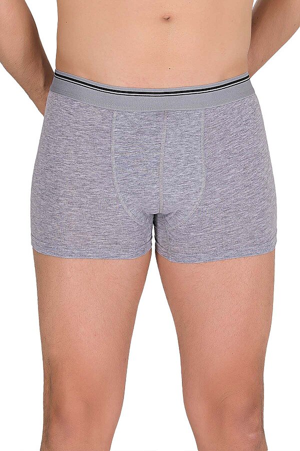 Berrak 1097 Erkek Boxer - Thumbnail