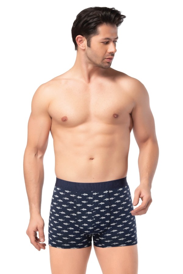 Berrak 4480 Erkek Boxer - Thumbnail